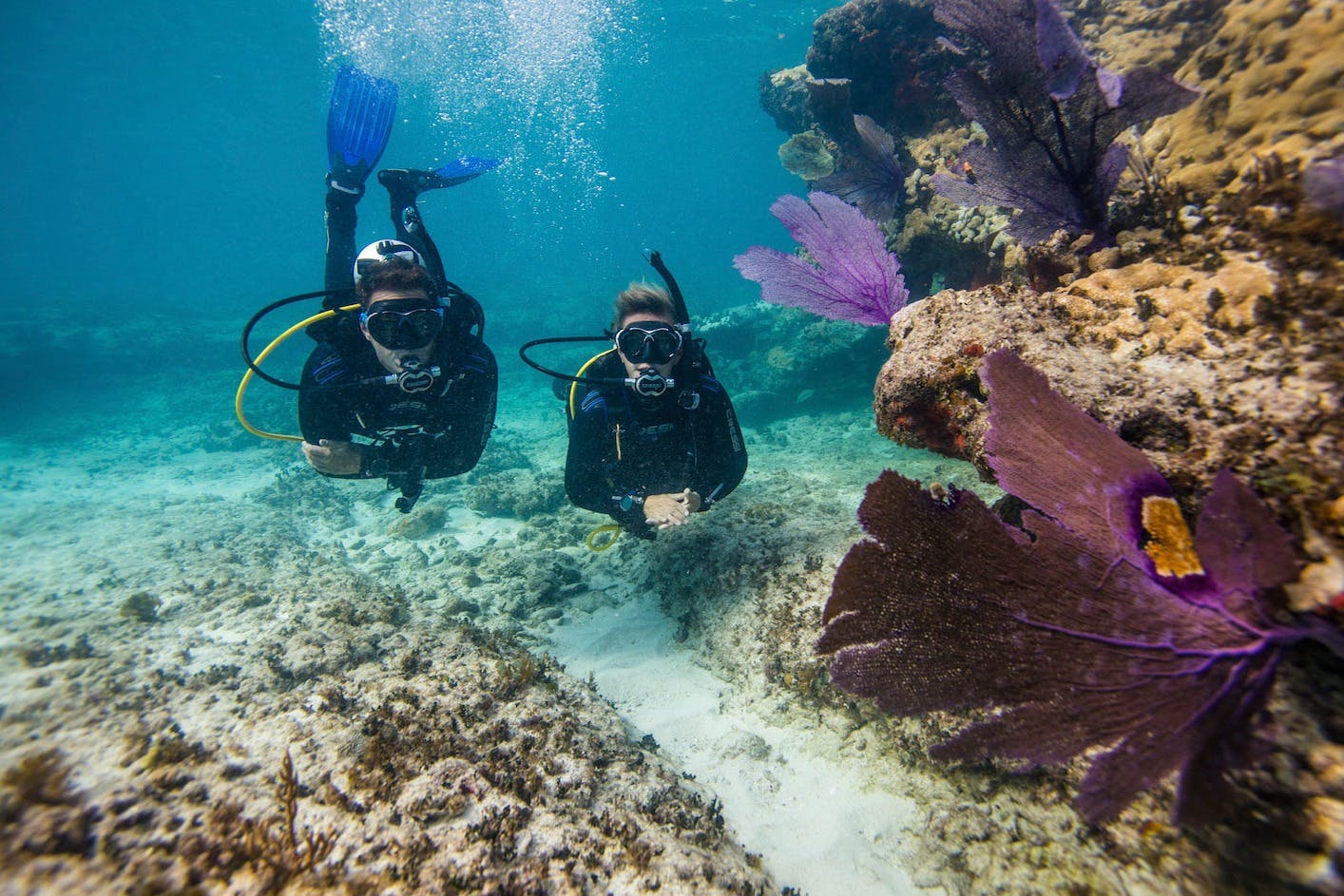 Pour les amateurs d'aventure, des possibilités de plongée sous-marine sont offertes moyennant un supplément.
