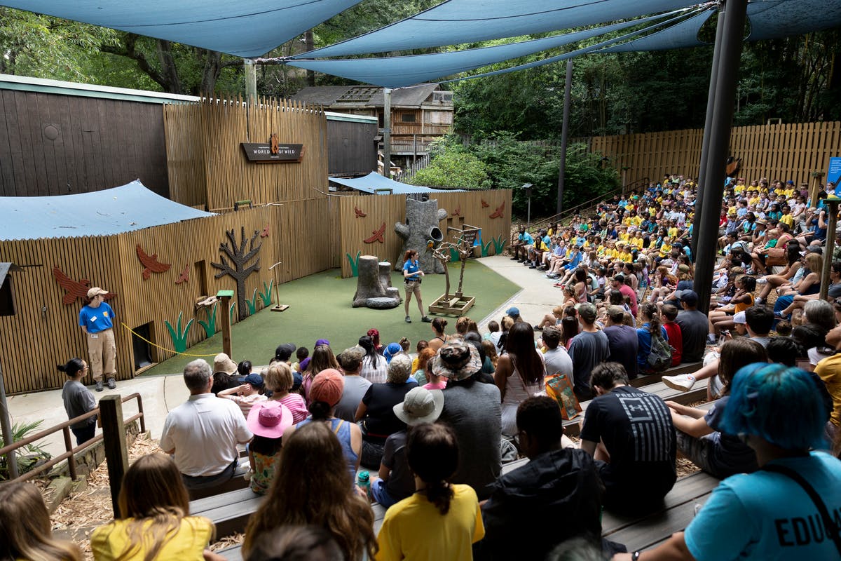 Een dierenshow in de buitenlucht in een dierentuin met een presentator op het podium en een zittend publiek onder schaduwdoeken.