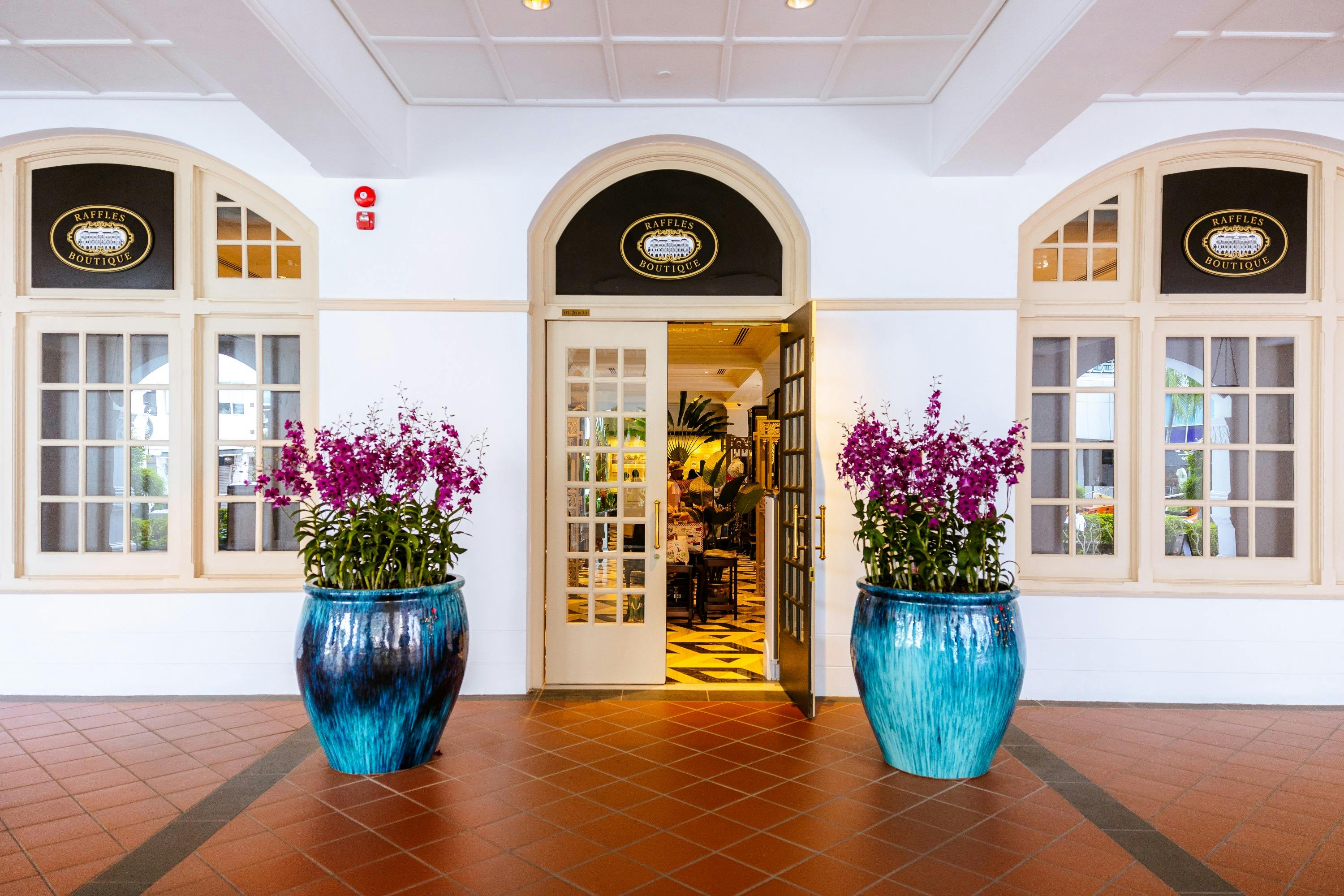 A storefront entrance with an open door, flanked by two large blue pots containing purple flowering plants.
