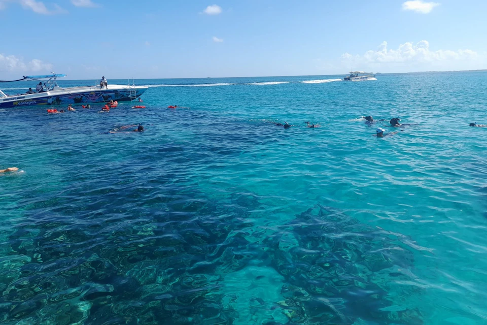 See the breathtaking blue waters of the Bahamas.