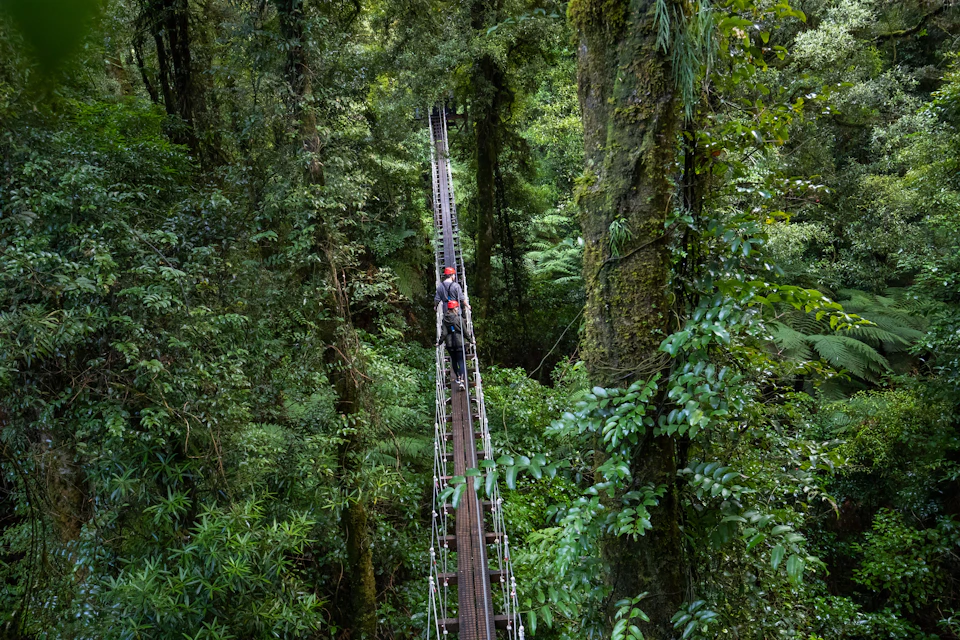 A person wearing a helmet walking on a narrow suspension bridge surrounded by dense green forest.