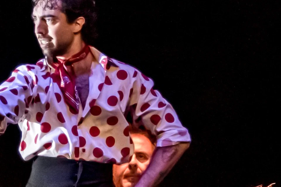 Flamenco painting