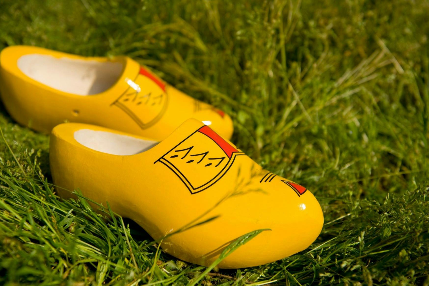 赤と黒のデザインの明るい黄色の木靴。緑の草の上に置かれています。