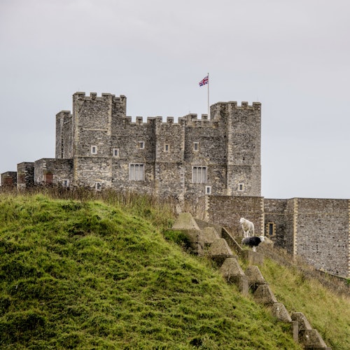 Castillo de Dover: Entrada Castillo de Dover: Entrada