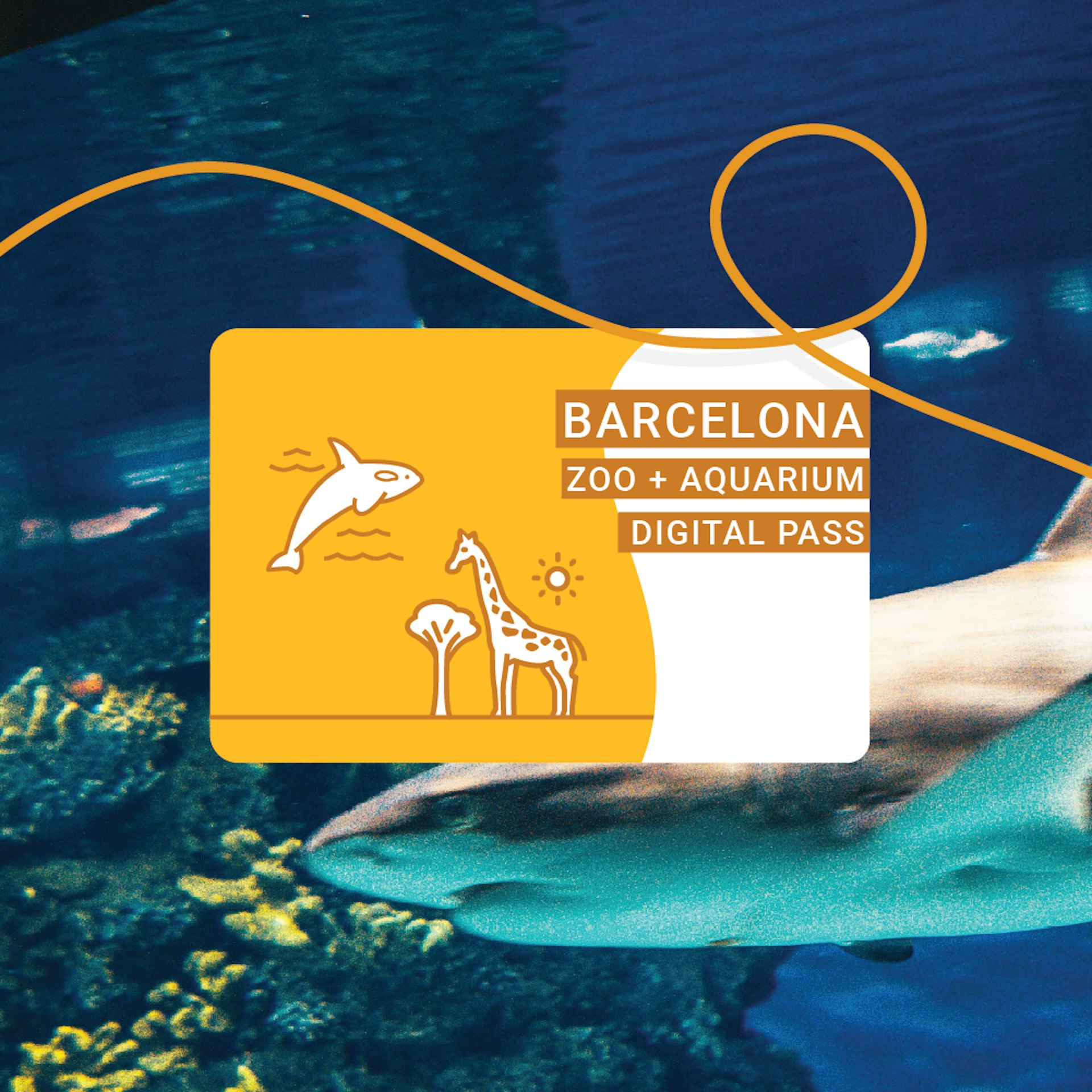 Barcelona Zoo + Aquarium Pass
