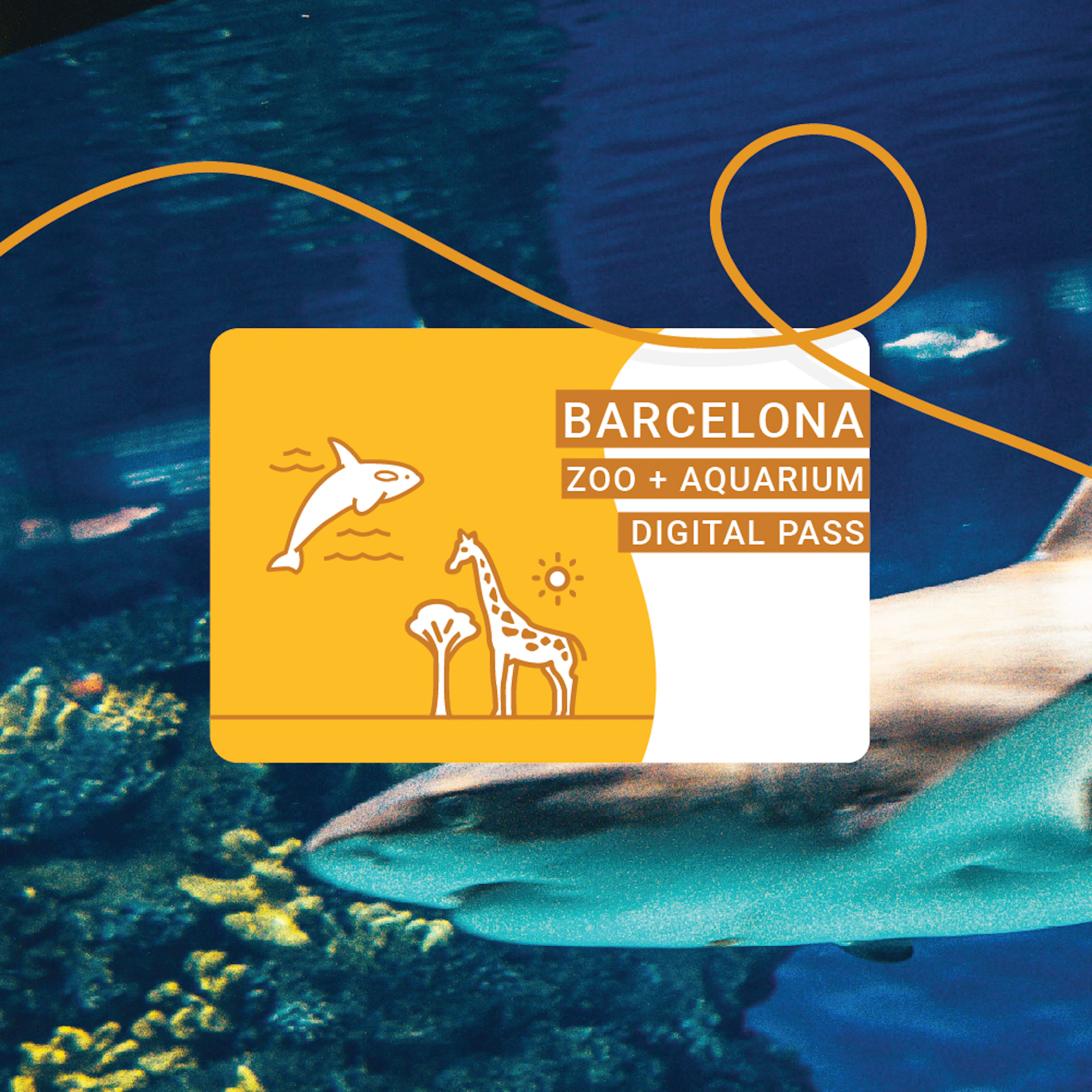 Pack Zoo de Barcelona i Aquàrium