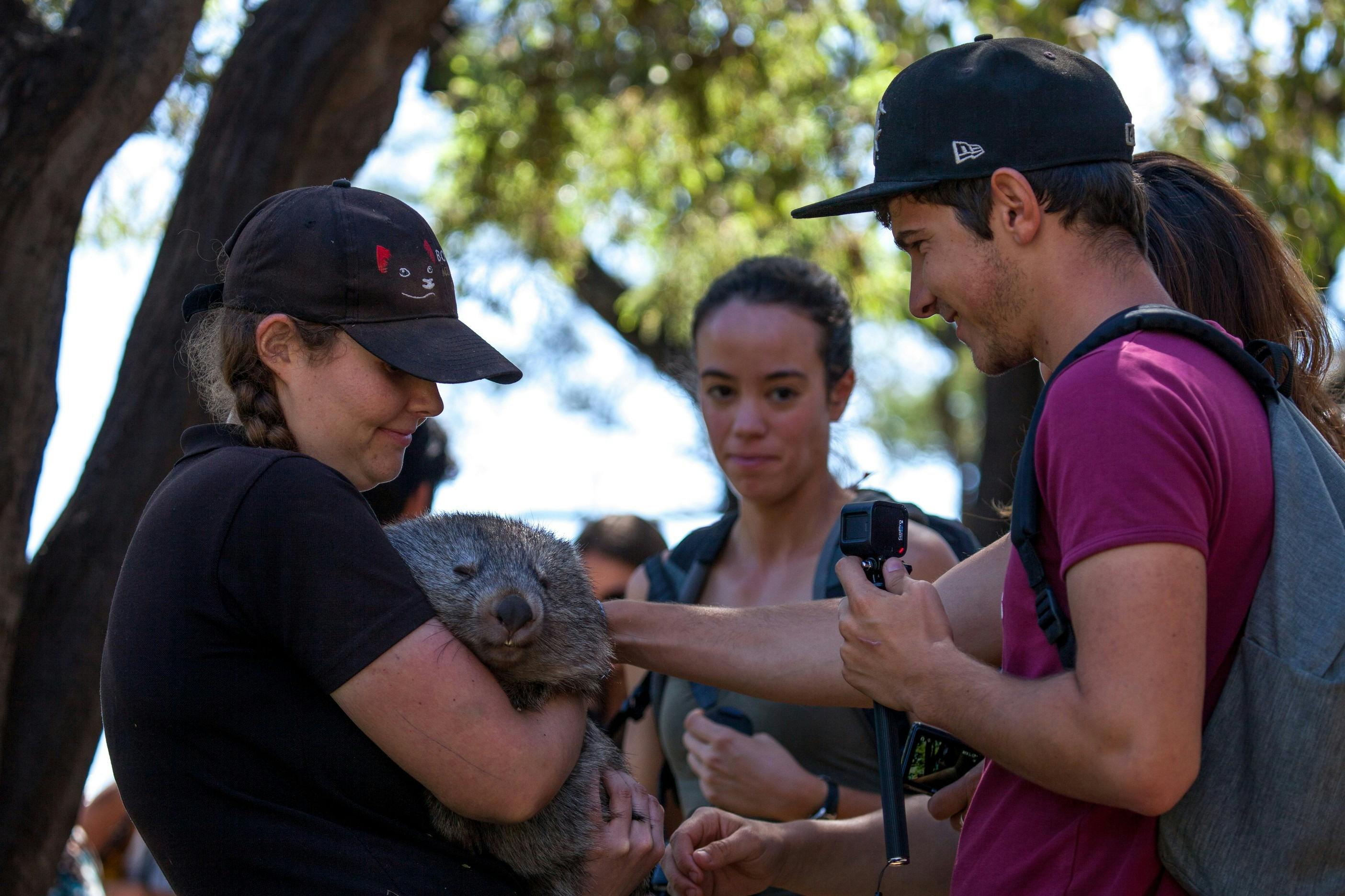 Three people are outdoors; one holds a wombat while another gently touches it. A third person watches attentively.