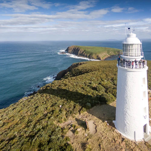Bruny Island: Guided Day Tour from Hobart + Lighthouse Entry + Food