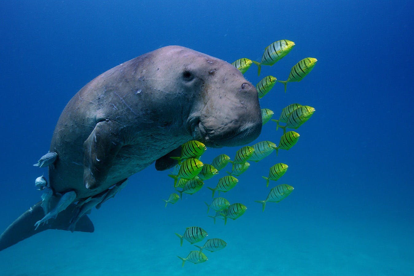 在新英格兰水族馆探索海洋的秘密