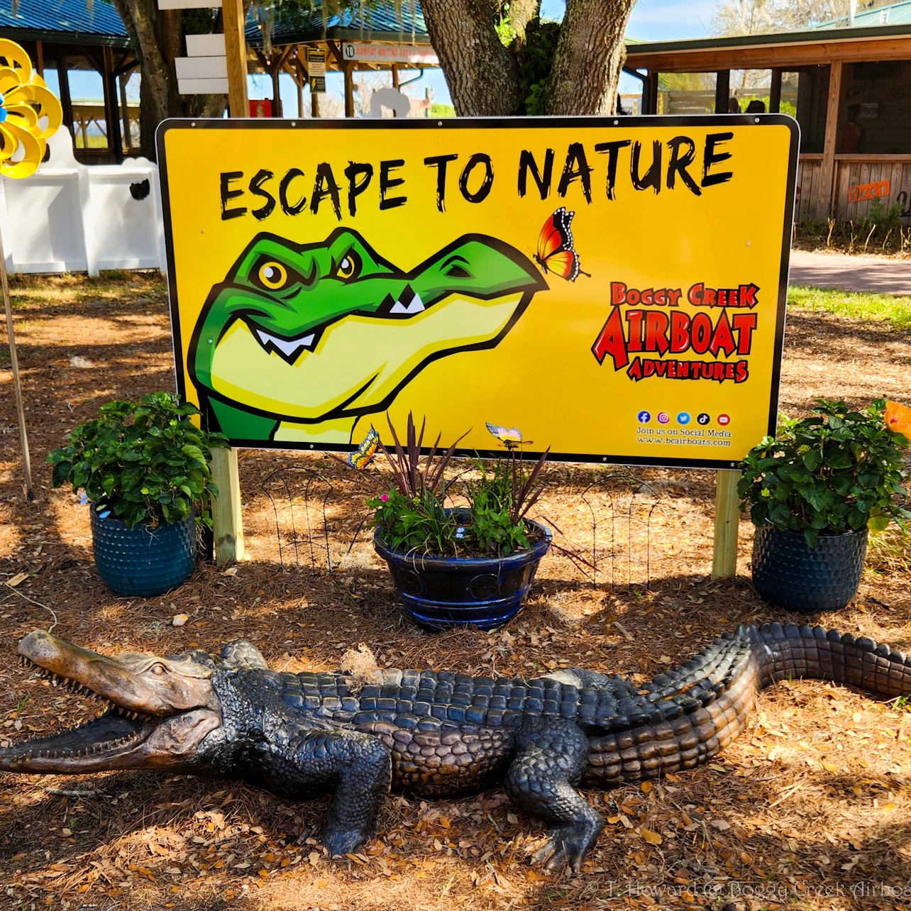 Kissimmee: 1-Hr Boggy Creek Everglades Airboat Tour in Kissimmee β Tiqets