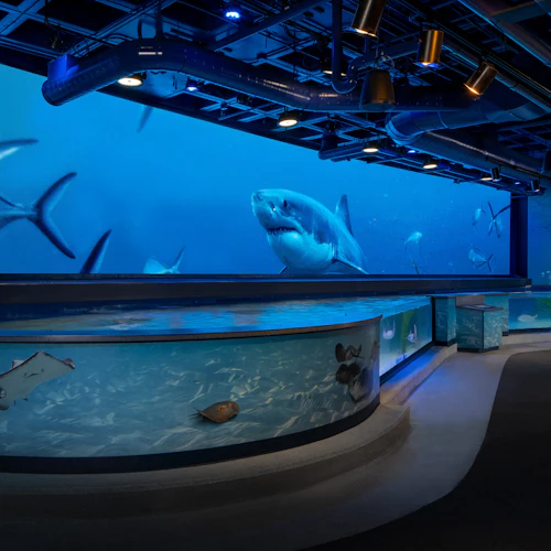 Audubon Aquarium & Insectarium: Combo Entry Ticket - Photo 2