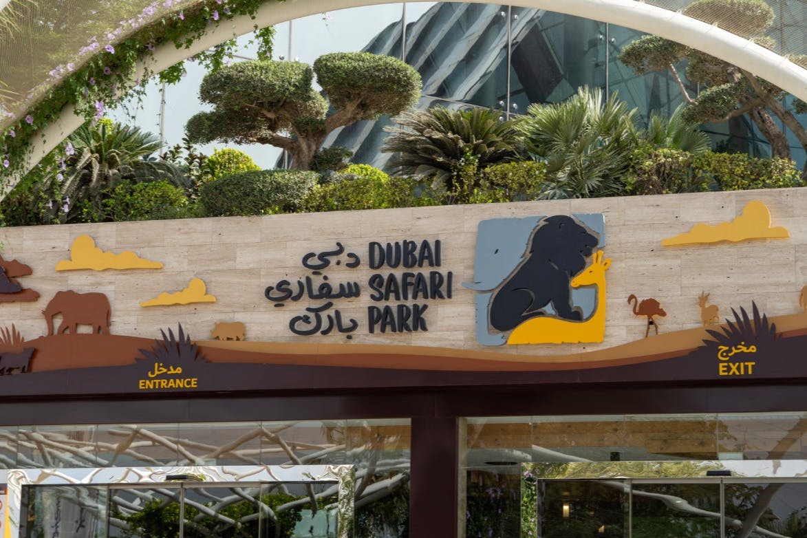 Boletos al Dubai Safari Park con tren y Safari Explorador