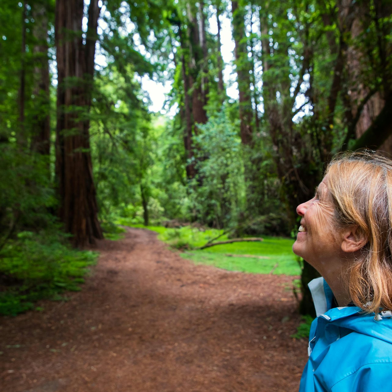 Muir Woods y Sausalito: Excursión matinal desde San Francisco - Alojamientos en San Francisco