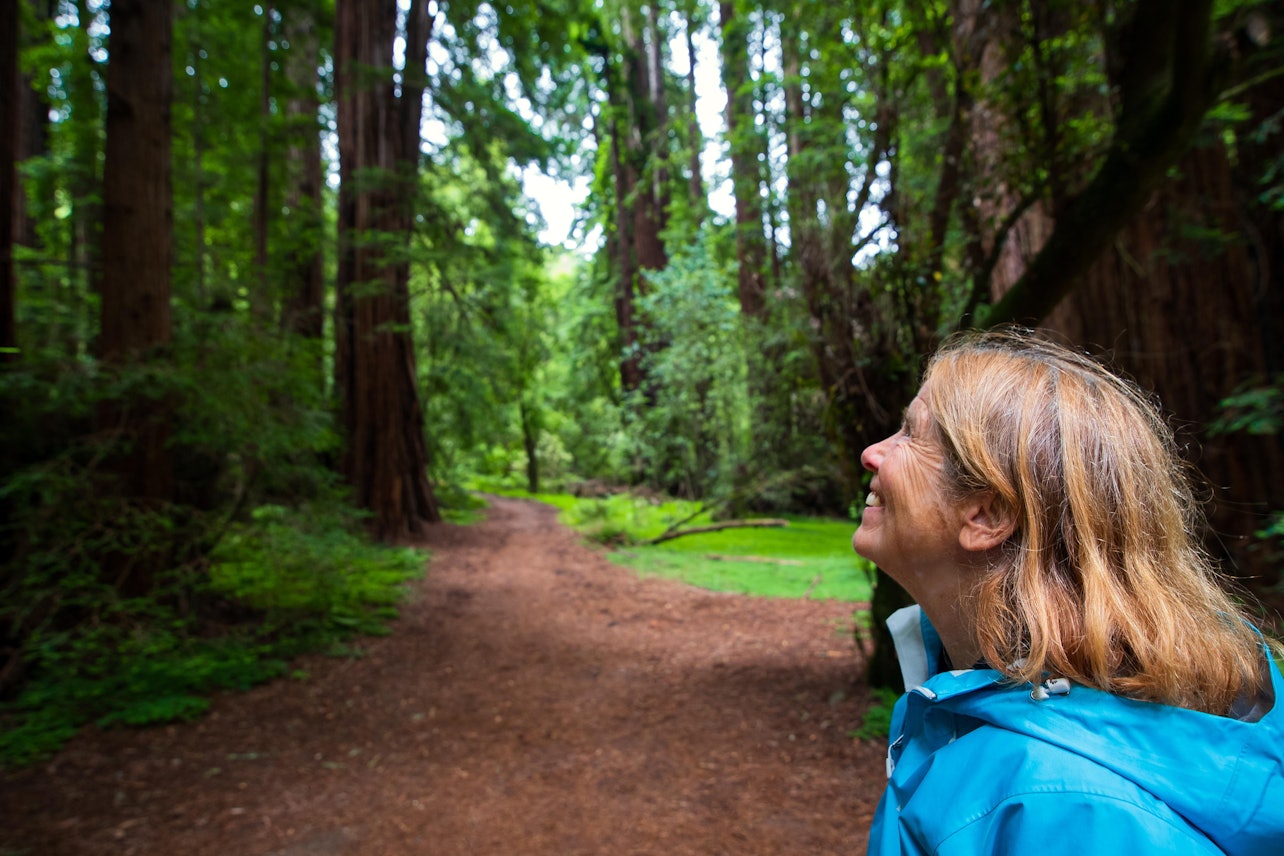 Muir Woods y Sausalito: Excursión matinal desde San Francisco - Alojamientos en San Francisco