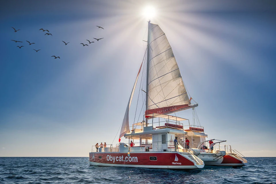 A red and white catamaran with people on board sails on calm water under a sunny sky, birds flying in the background.