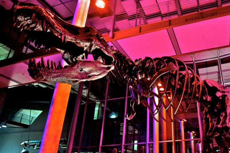 California Academy of Sciences: Nightlife Ticket