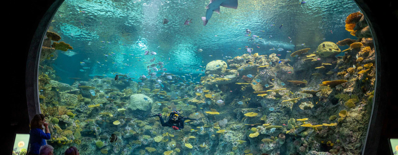 Acquario di Seattle: Biglietto d'ingresso