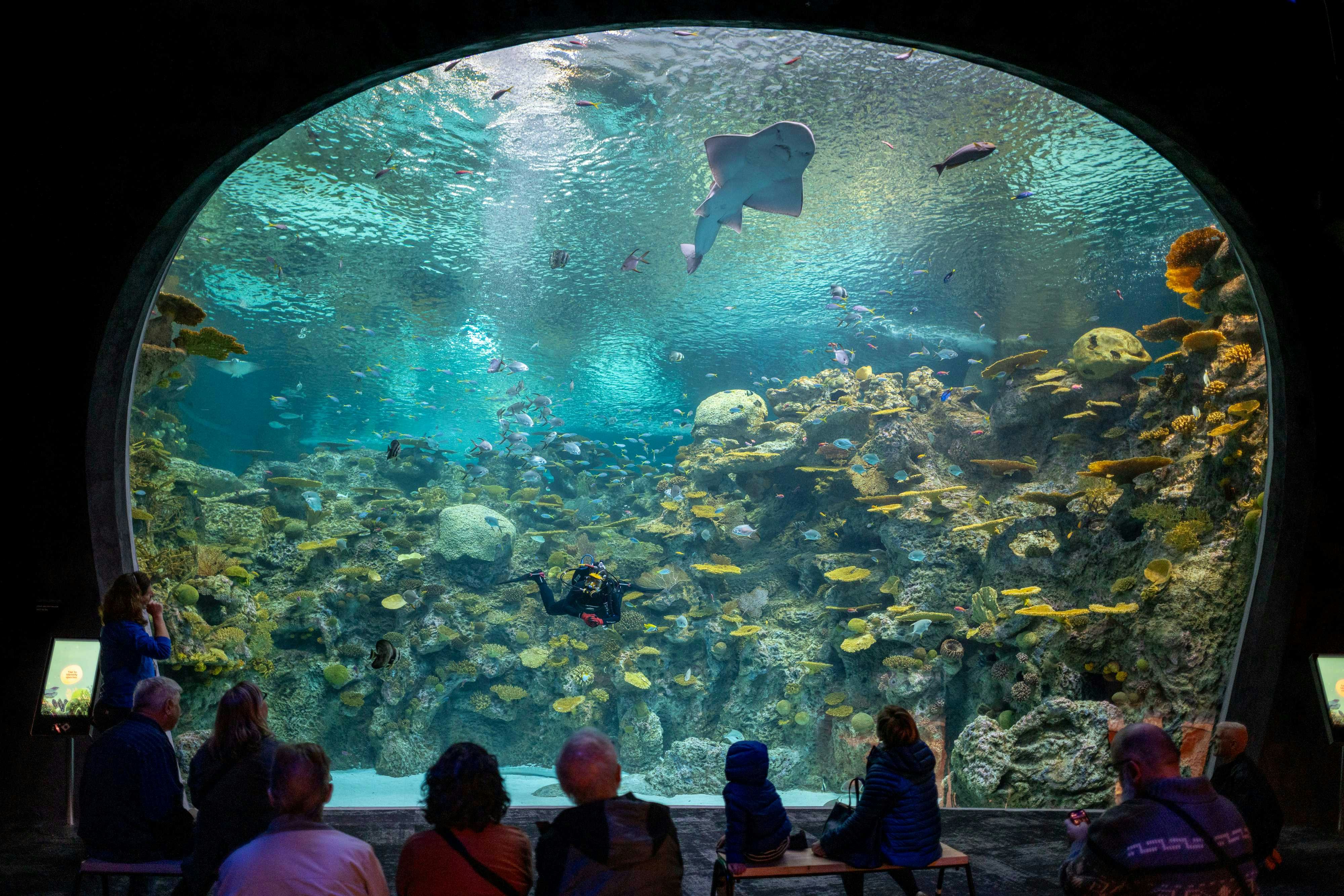 Acuario de Seattle: Entrada