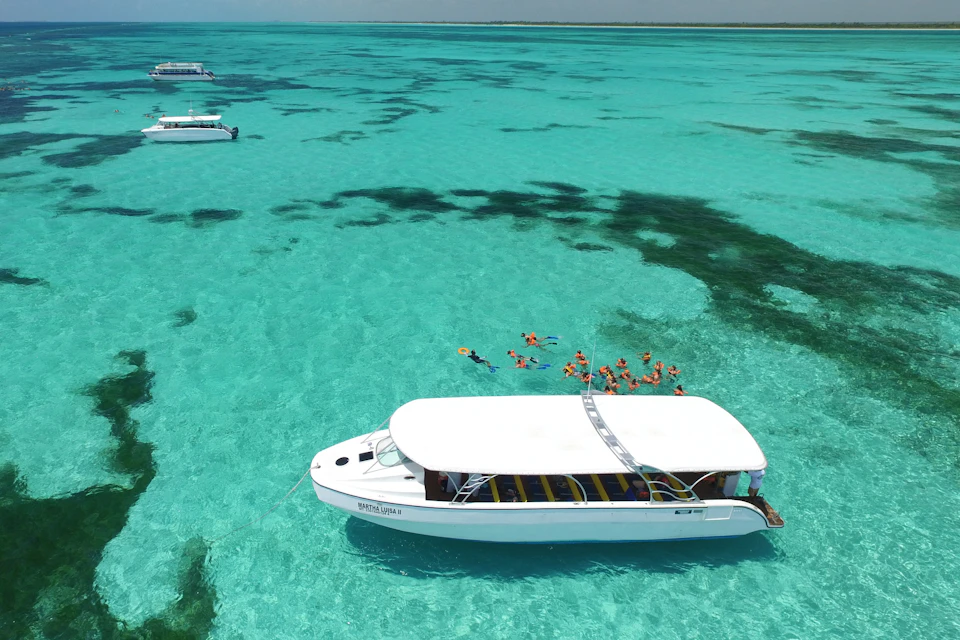 Snorkeling Time at the Coral Reef