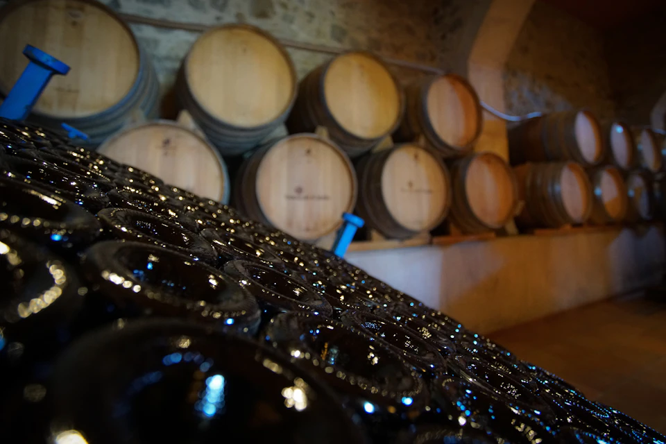 Enjoy a tour through the winery