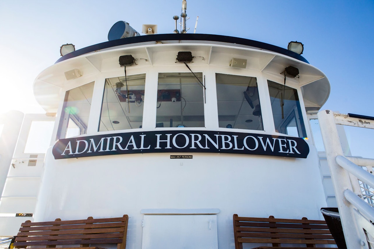 San Diego: 1-Hour Harbor Cruise & Sea Lion Adventure - Accommodations in San Diego