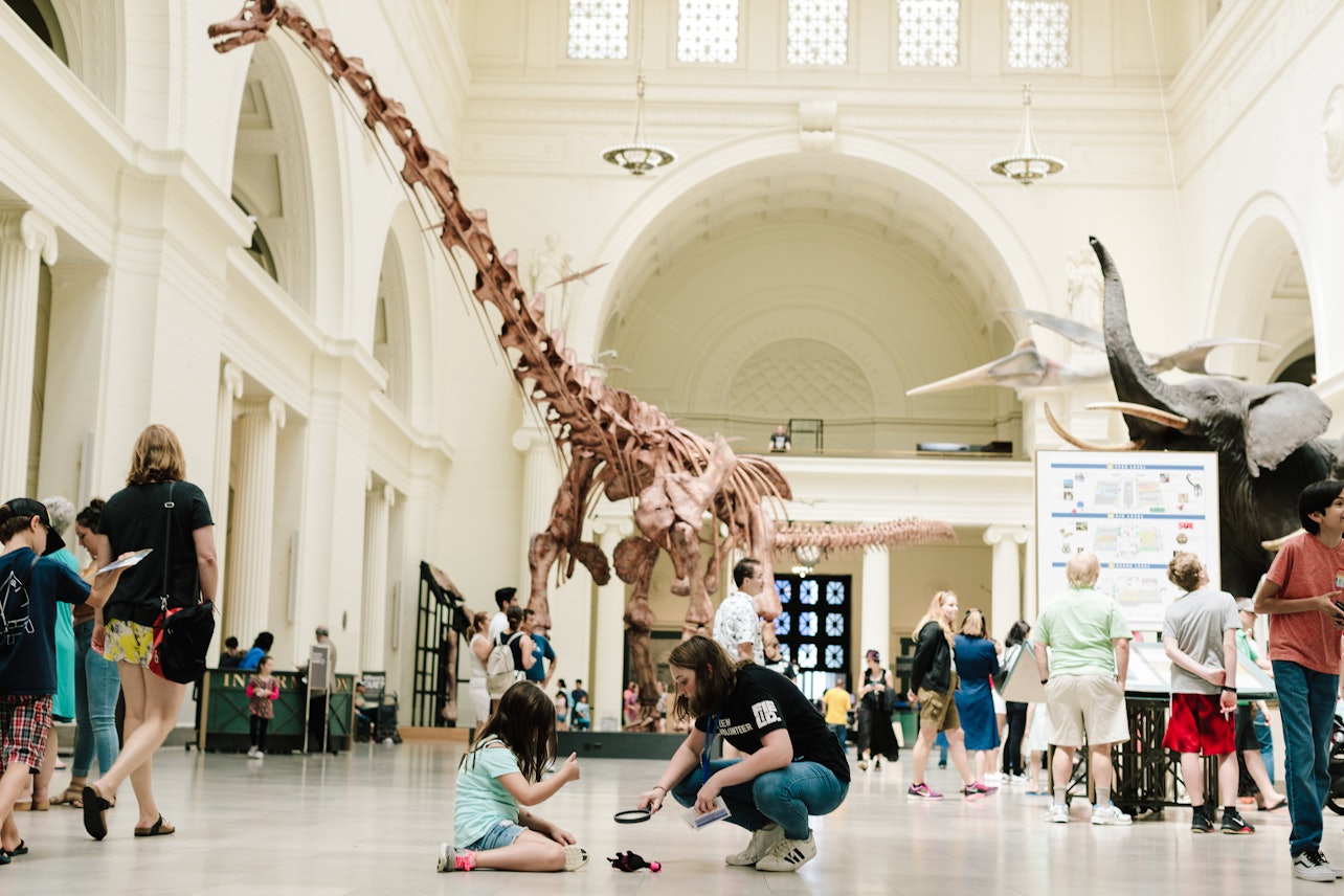 The Field Museum of Natural History: Acceso temprano + Visita guiada + Exposiciones - Alojamientos en Chicago