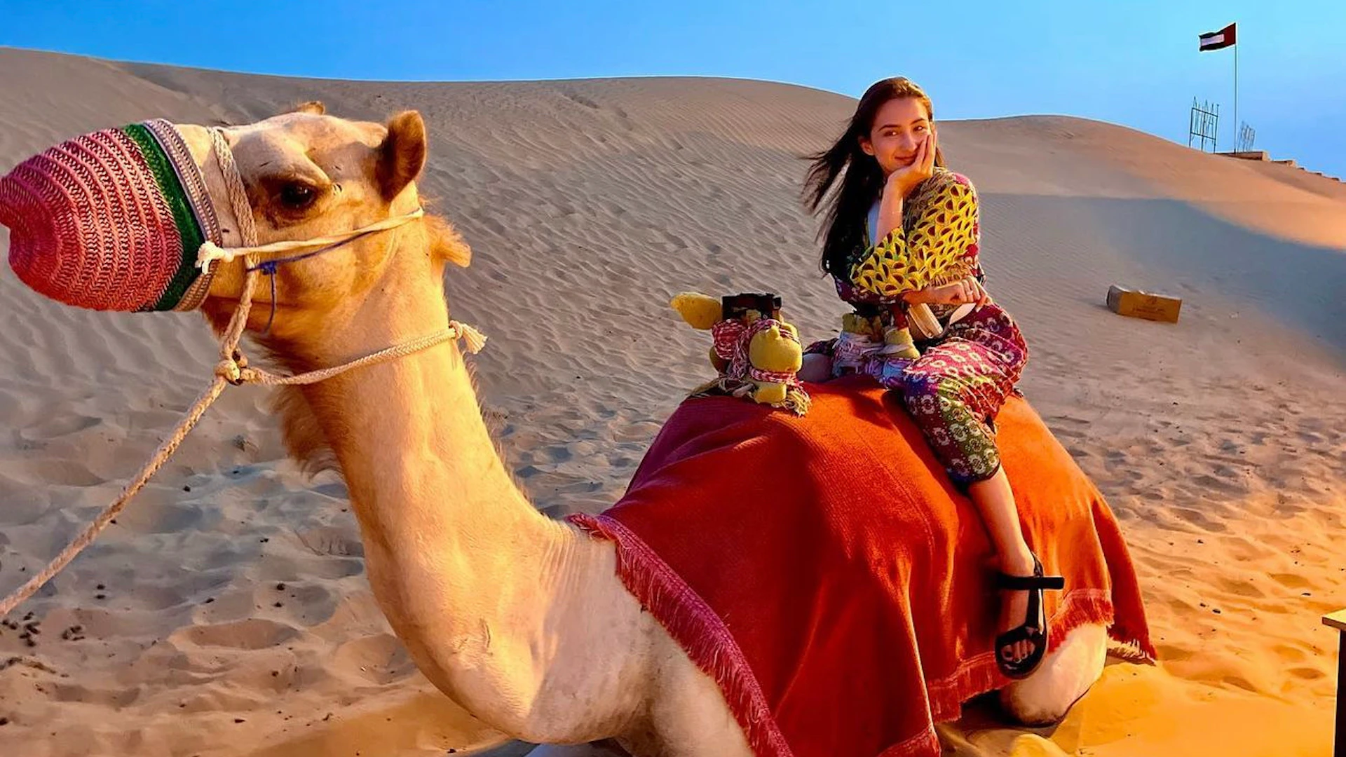 Nature & Wildlife in dubai