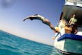 Snorkeling-Hurghada