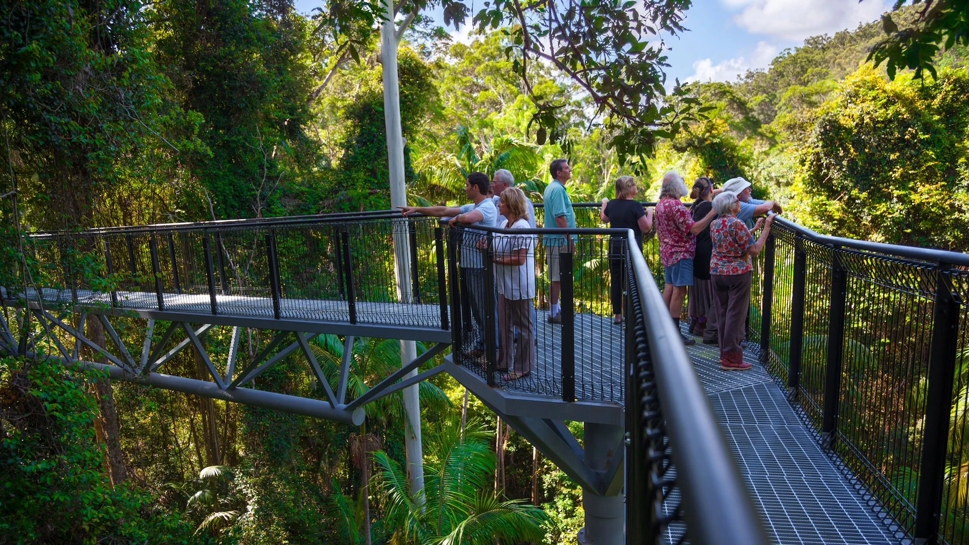City Tours in brisbane