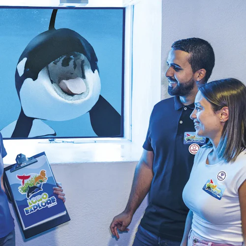 Loro Parque: bilhete de entrada + Diamond Pass - Photo 2