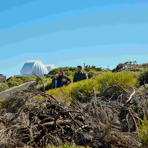 Observatório do Monte Teide: Visita guiada - Photo 14