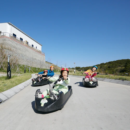 Skyline Luge Busan: 2026 Luge Pass