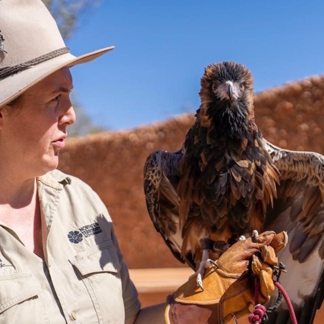 A person in a uniform and hat holds a large bird of prey on a gloved hand, with an outdoor setting in the background.