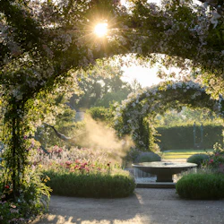 RHS Garden Wisley: Entry Ticket 5