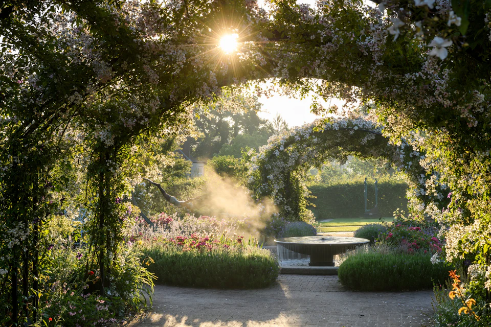 Sunlight filtering through flowering arches onto a circular fountain, surrounded by lush greenery and blooming flowers.