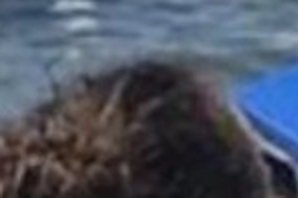 Amigos comparten risas y disfrutan de bebidas animadas: una imagen vibrante de amistad despreocupada en el agua.