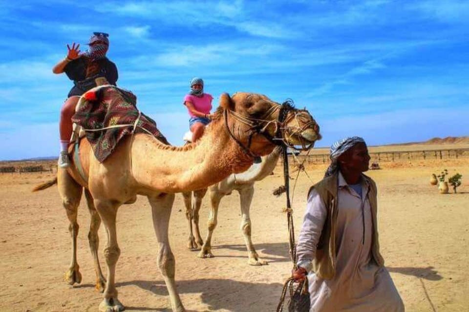 가립에서 낙타 타기