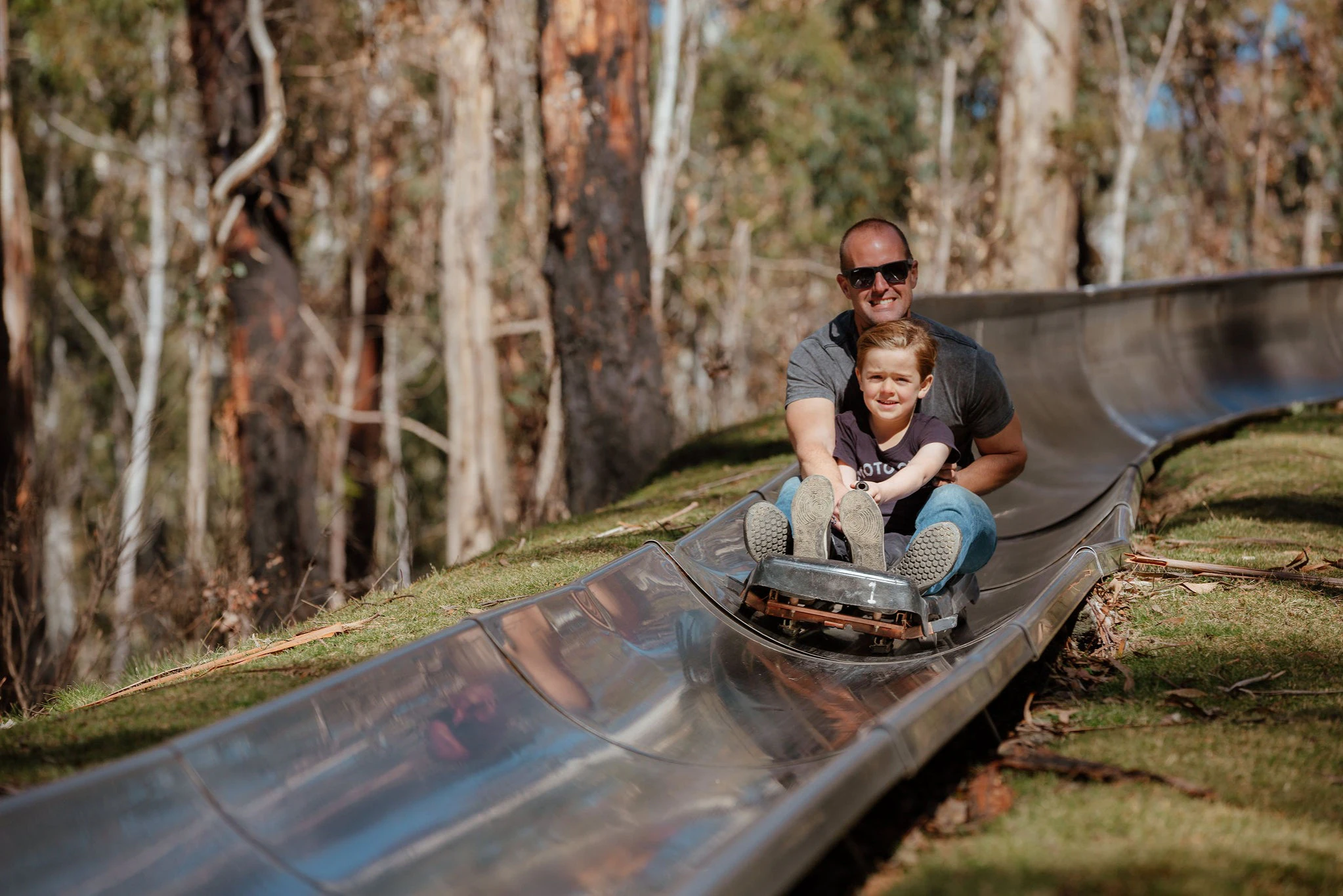 Corin Forest: Alpine Slide Ticket