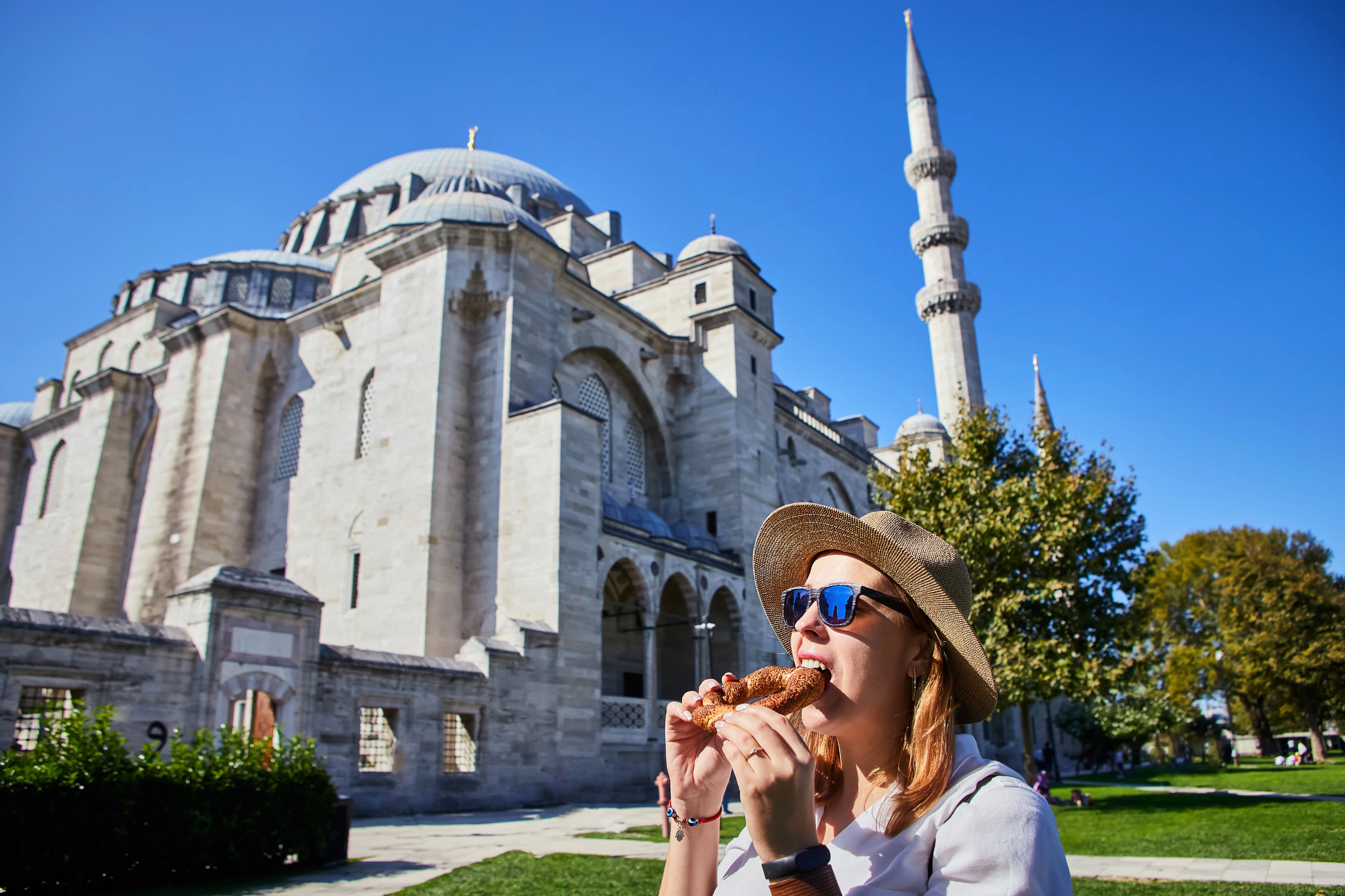 Hagia Sophia, Blue Mosque & Suleymaniye Mosque: Guided Tour