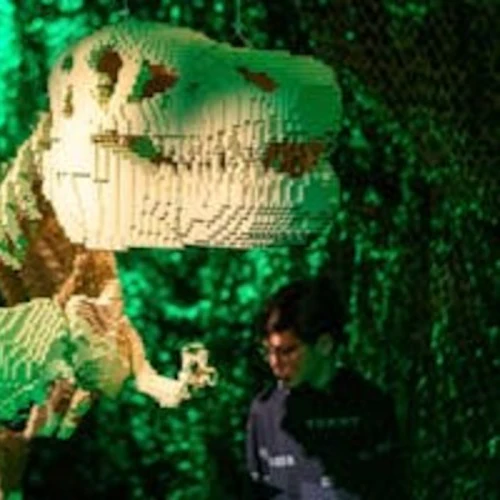 The Art of the Brick Nantes: Entry Ticket