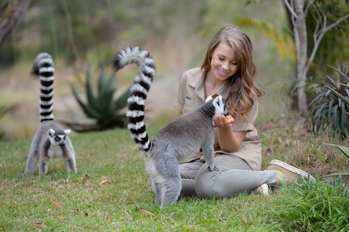 オーストラリア動物園：ブリスベン、ヌーサ、サンシャインコーストからの送迎＆入場(即日発券)