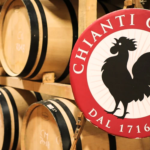 Chianti: Day Trip from Florence + Wine Tour & Tasting - Photo 2