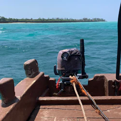 Zanzibar: Swimming with Dolphins Day Trip 2