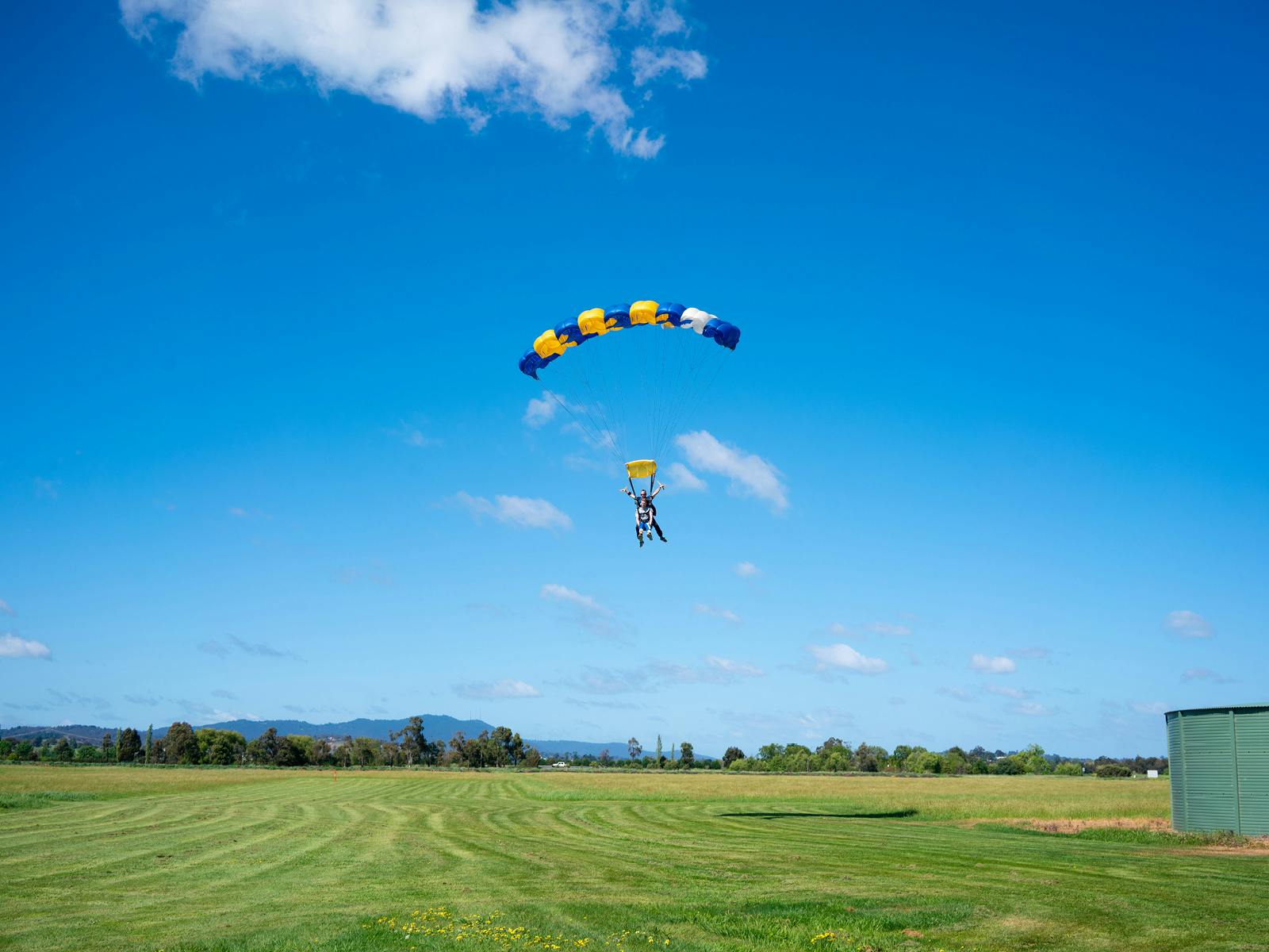 A skydiver with a blue, yellow, and white parachute descends onto a grassy field under a clear blue sky.