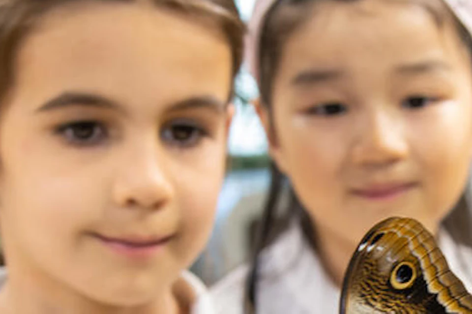 Two young girls watch a large butterfly perched on an orange slice held by a hand; indoor setting with plants in the background.