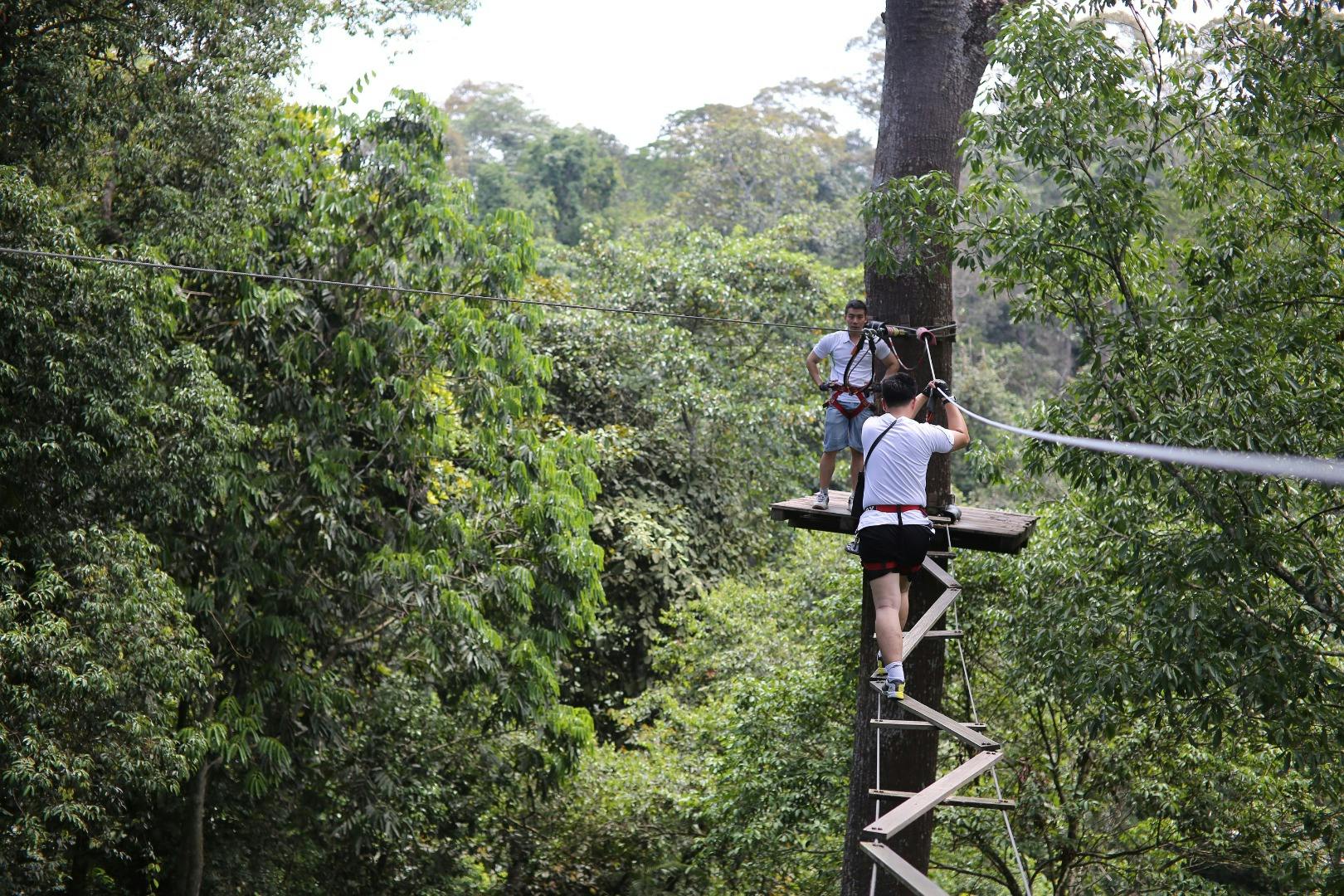 Two people engaging in zip-lining activities in a forested area, one on a platform and another climbing a wooden ladder.