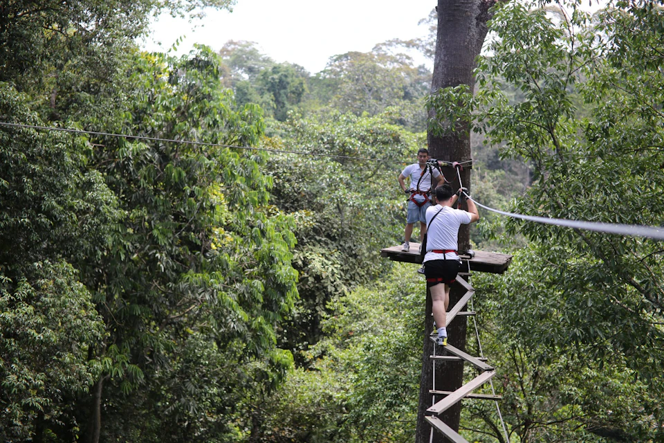 Two people engaging in zip-lining activities in a forested area, one on a platform and another climbing a wooden ladder.