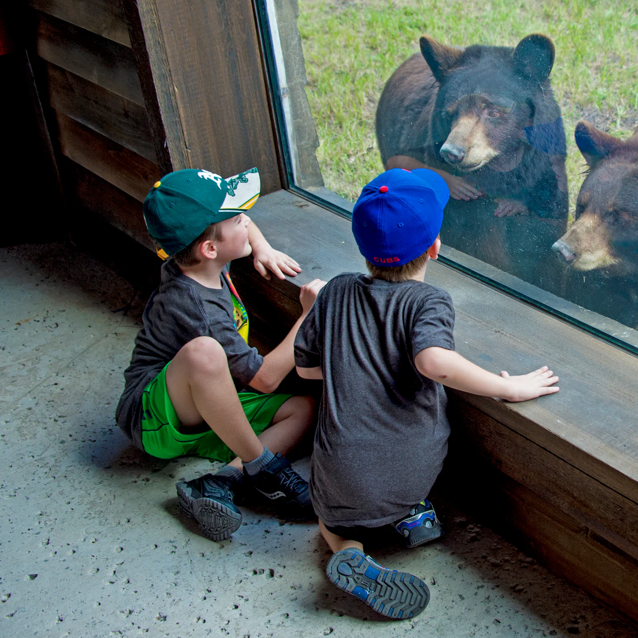 Zoo Miami: Skip The Line Ticket in Miami – Tiqets