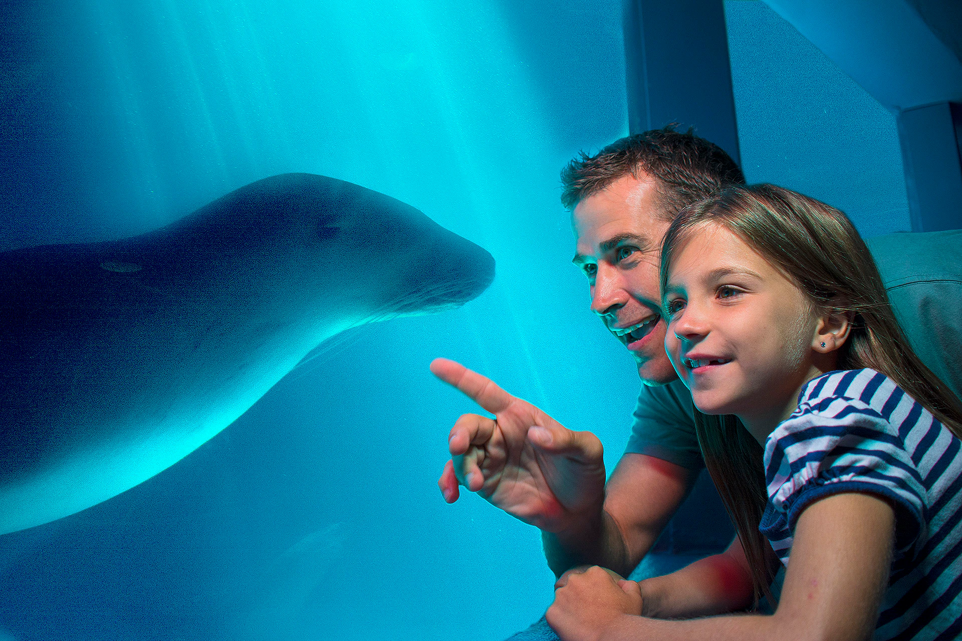 SEA LIFE Sunshine Coast Aquarium: Entry Ticket
