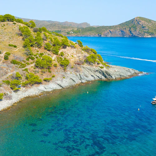 Cap Norfeu: 2-Hr Glass Bottom Boat Trip from Roses or Santa Margarita - Photo 6